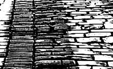 Bradford, January 2001