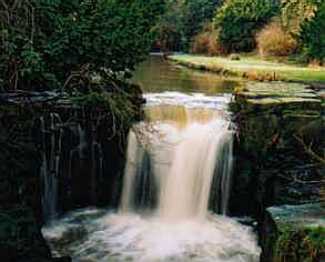 Jesmond Dene, Newcastle, February 2001